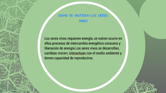 COMO SE NUTREN LOS SERES VIVOS! by sebastian cerinza on Prezi