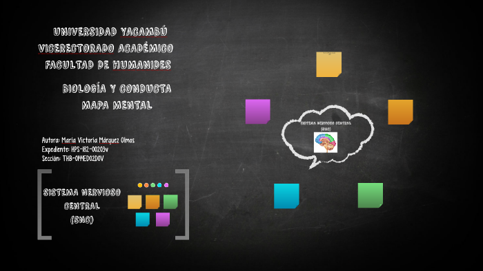 MAPA MENTAL by Maria marquez on Prezi