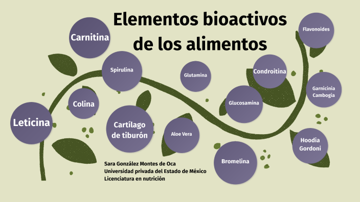 Componentes Bioactivos De Los Alimentos By Sara González Montes De Oca ...