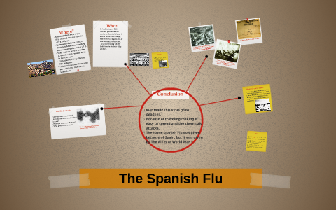 spanish flu essay topics