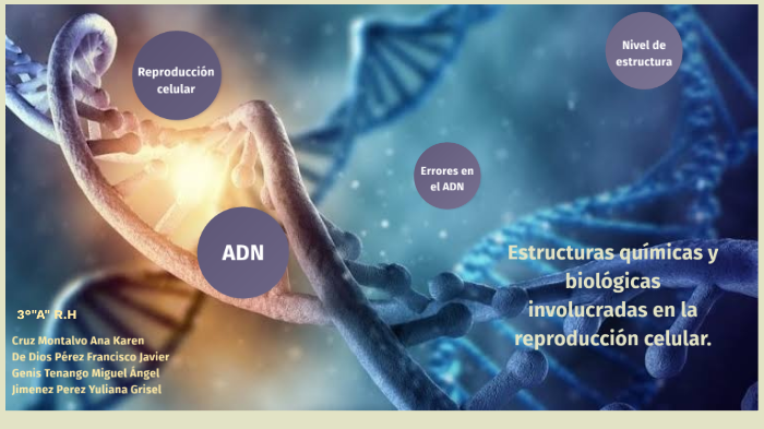 Estructuras químicas y biológicas involucradas en la reproducción