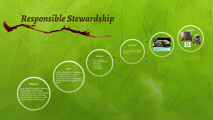 responsible stewardship meaning