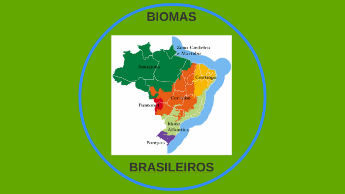 BIOMAS BRASILEIROS by Rafael Salgado da Silva on Prezi