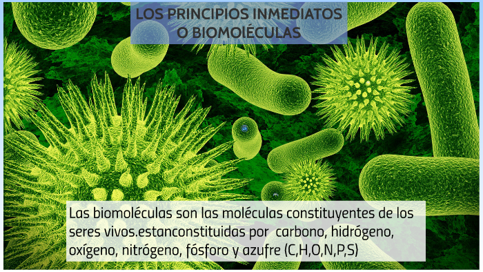 LOS PRINCIPIOS INMEDIATOS O BIOMOLECULAS by kevin Farfan on Prezi