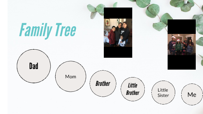 Family Tree by Natasha Martinez on Prezi