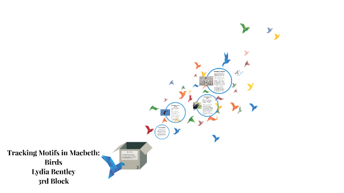 Tracking Motifs In Macbeth Birds By Lydia Bentley