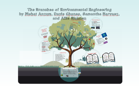 The Branches of Environmental Engineering by Nishat Anzum on Prezi