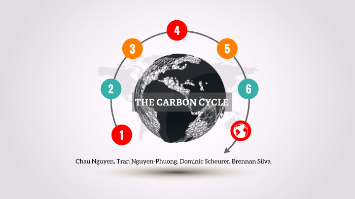 The Carbon Cycle by Tran Nguyen-Phuong on Prezi