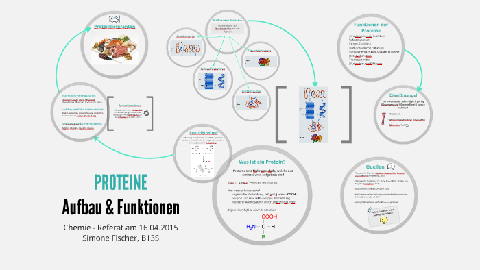 Funktion Von Proteinen Im Körper Proteine - Aufbau & Funktionen by Simone Fischer on Prezi