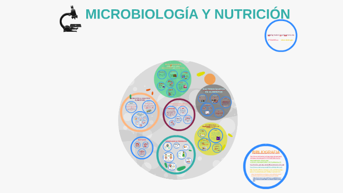 MicrobiologÍa Y NutriciÓn By Maribel Cachinero On Prezi 7645