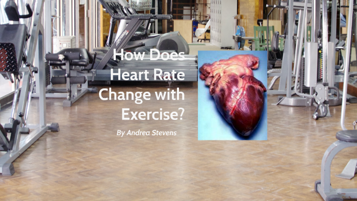 how-does-heart-rate-change-with-exercise-by-andrea-stevens