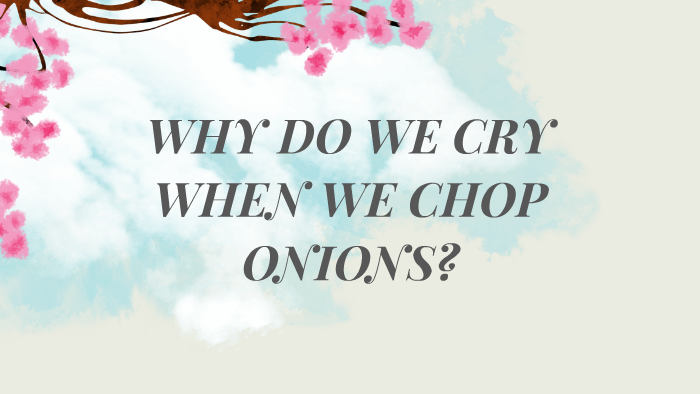 WHY DO WE CRY WHEN WE CHOP ONIONS? By Reinalyn Catambacan On Prezi