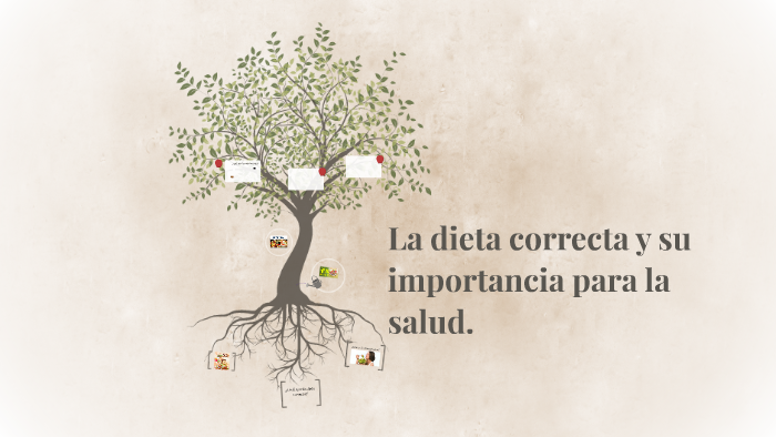 La Dieta Correcta Y Su Importancia Para La Salud By 0900