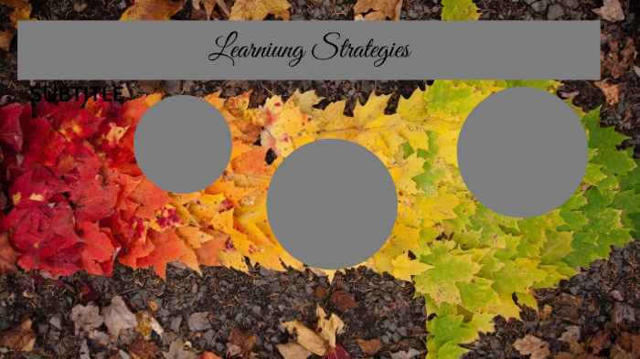 Learning Strategies by Valeria Martínez on Prezi