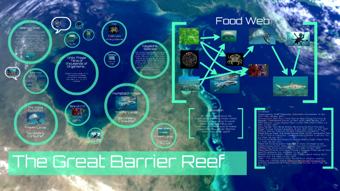 The Great Barrier Reef by Zayden Dickey on Prezi