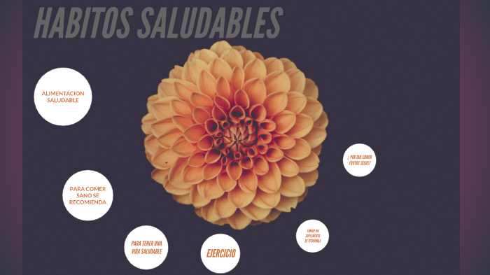habitos saludables by claudia sanchez on Prezi