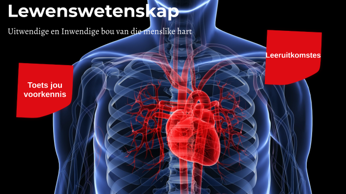 Lewenswetenskap - Die hart by Carla Smit on Prezi