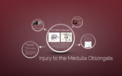 Injury to the Medulla Oblongata by Susan Teft on Prezi