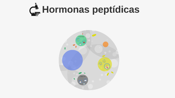 Hormonas Peptídicas By Andrea Marinero On Prezi 