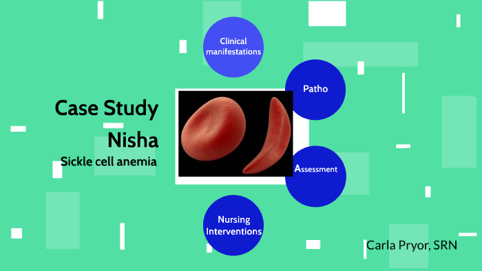 Case study nisha 07 image