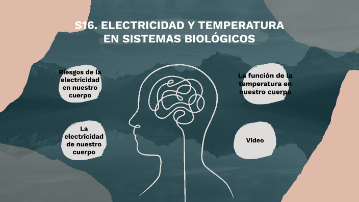 S16 Electricidad Y Temperatura En Sistemas BiolÓgicos By Fernando