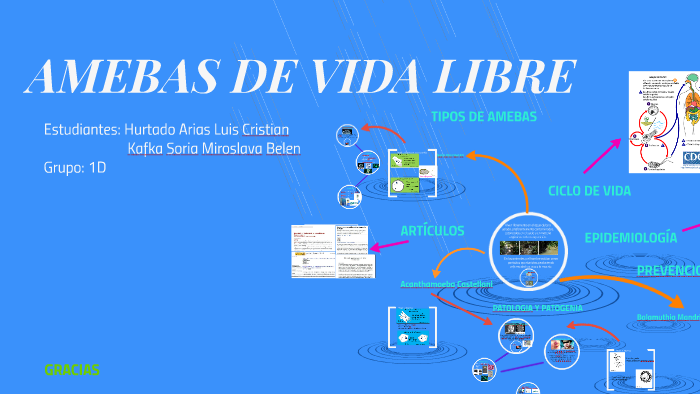 ciclo de vida de la acanthamoeba