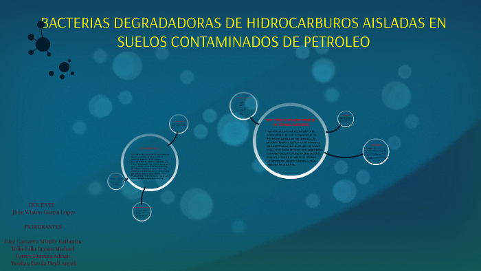 BACTERIAS DEGRADADORAS DE HIDROCARBUROS By Mirelly Katherine Diaz ...