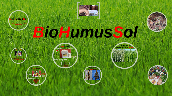 BioHumusSol by sava cristina on Prezi