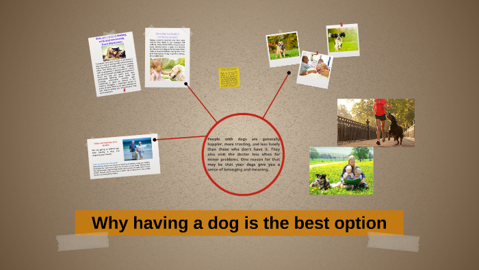 Why adopting dogs is the best option by Carolina Ahumada on Prezi