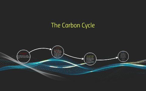 The Carbon Cycle by sal alhammad on Prezi
