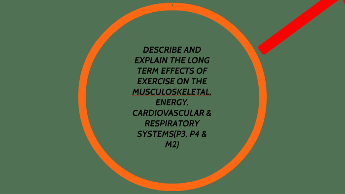 DESCRIBE AND EXPLAIN THE LONG TERM EFFECTS OF EXERCISE ON TH by Dylan ...