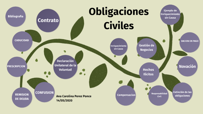 OBLIGACIONES CIVILES LAS FUENTES DE LAS OBLIGACIONES A SABER by ana