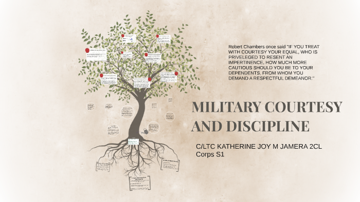 military courtesy and discipline essay brainly