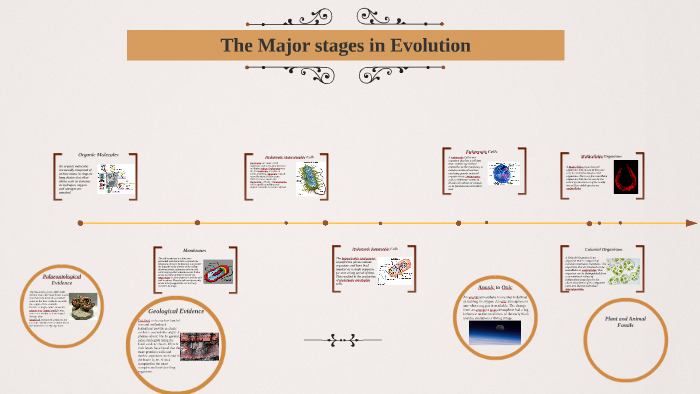 The Major Stages of Evolution by jessica mcgee on Prezi