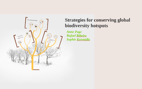 Strategies for conserving global biodiversity hotspots by Rafael ...