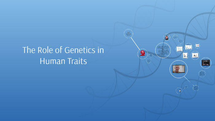 The Role of Genetics in Human Traits by Kimberly Tesch on Prezi