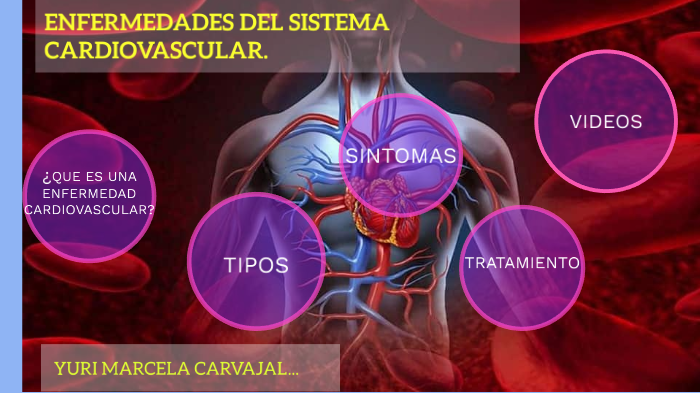 Enfermedades Del Sistema Cardiovascular By Yury Marcela Carvajal Rodas ...