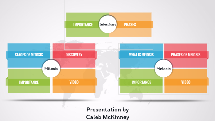 Mitosis Prezi by Caleb McKinney on Prezi