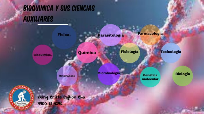 Bioquimica y sus ciencias Auxiliares. by keiny Crista cajbon on Prezi