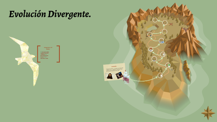 evolución divergente