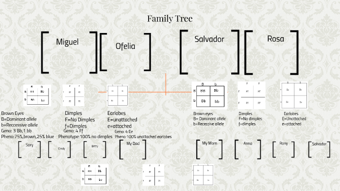 Family Tree by Karen Gonzalez on Prezi
