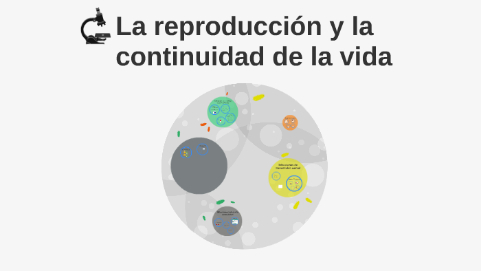 La reproducción y la continuidad de la vida by jazmin alvarez on Prezi