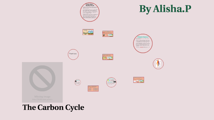 The Carbon Cycle by alisha patel on Prezi