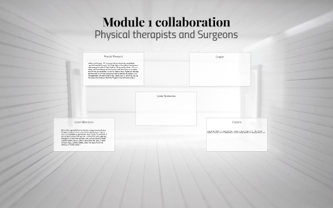 Module 1 collaboration by M A on Prezi