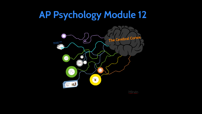 Dominate Ap Psychology Cracking The Motor Cortex Code - 0t2qop4