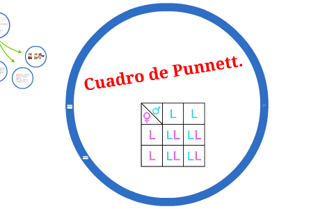 genotipo cuadro de punnett