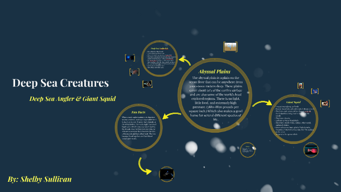 Deep Sea Creatures by Shelby Sullivan on Prezi