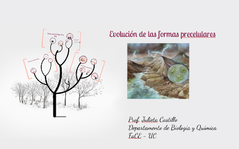 Evolución de las formas precelulares by Julieta Castillo