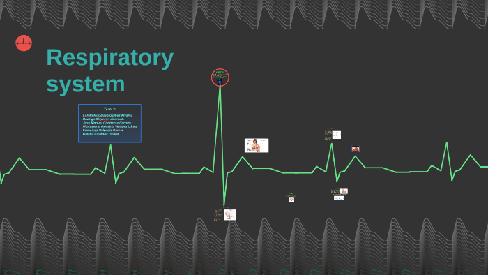 Respiratory system by on Prezi