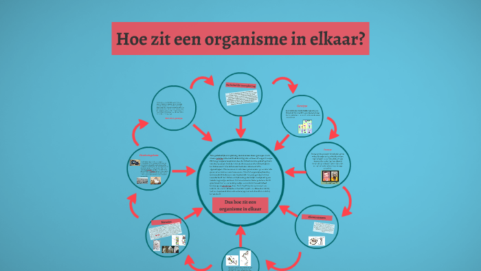 Hoe Zit Een Organisme In Elkaar? By Chanti Franke